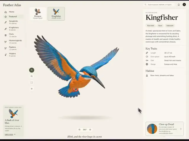 Preview of the design Feathers Atlas